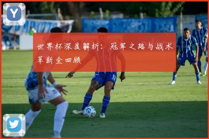 世界杯深度解析：冠军之路与战术革新全回顾