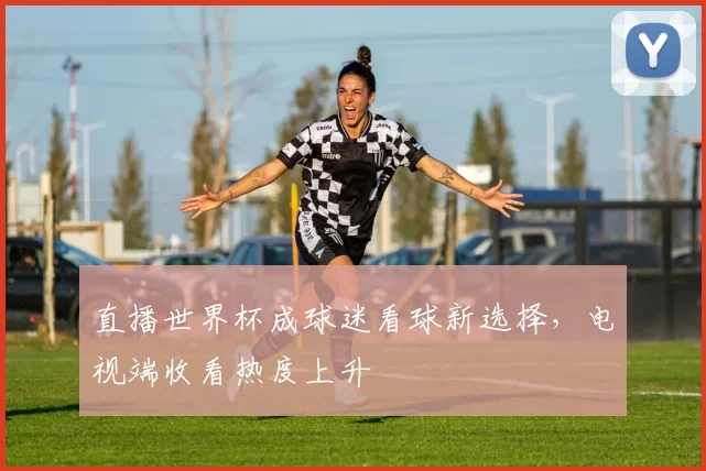 直播世界杯成球迷看球新选择，电视端收看热度上升