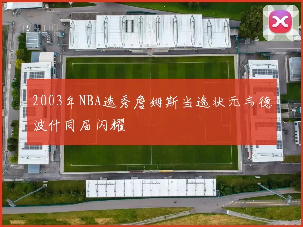 2003年NBA选秀詹姆斯当选状元韦德波什同届闪耀