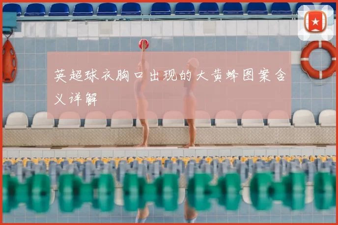 英超球衣胸口出现的大黄蜂图案含义详解