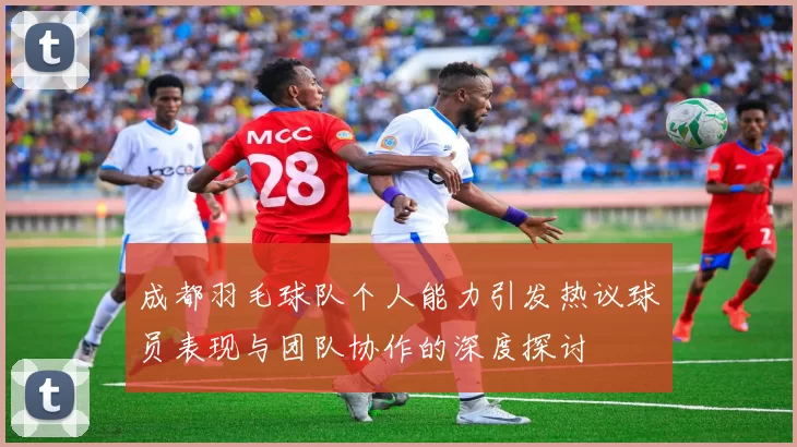 成都羽毛球队个人能力引发热议球员表现与团队协作的深度探讨