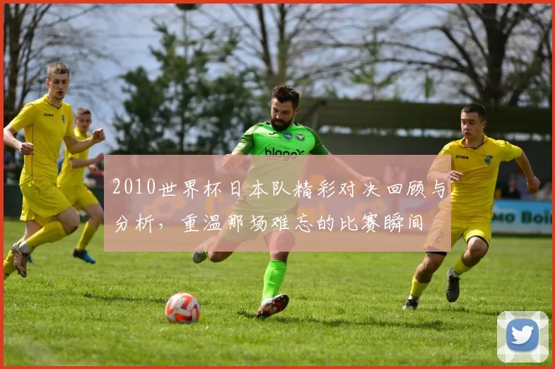 2010世界杯日本队精彩对决回顾与分析,重温那场难忘的比赛瞬间