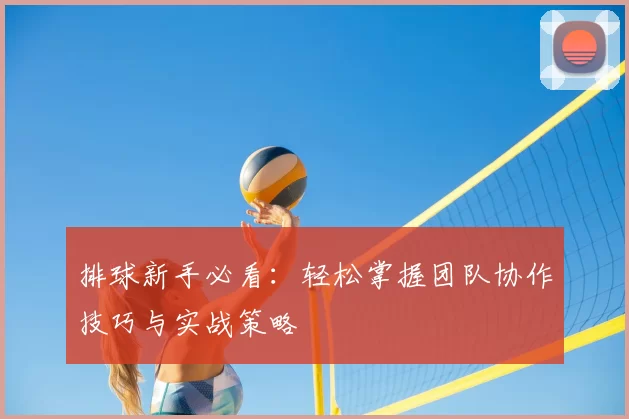 排球新手必看:轻松掌握团队协作技巧与实战策略
