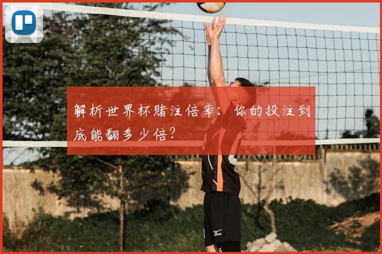 解析世界杯赌注倍率：你的投注到底能翻多少倍？