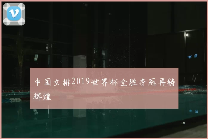 中国女排2019世界杯全胜夺冠再铸辉煌