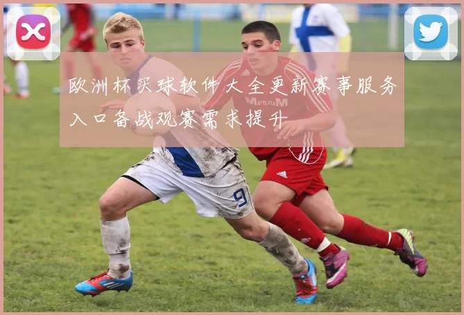 欧洲杯买球软件大全更新赛事服务入口备战观赛需求提升