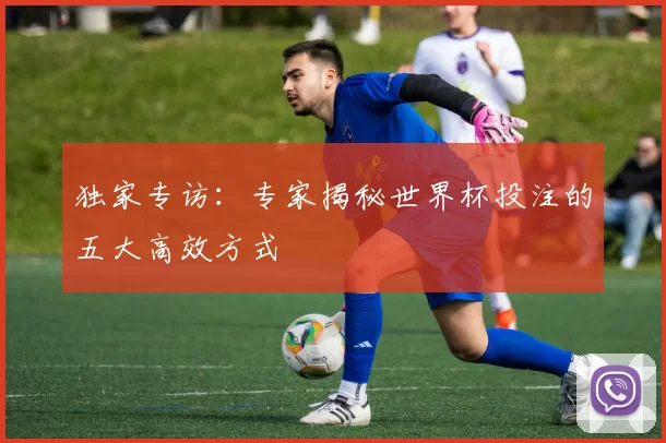 独家专访:专家揭秘世界杯投注的五大高效方式