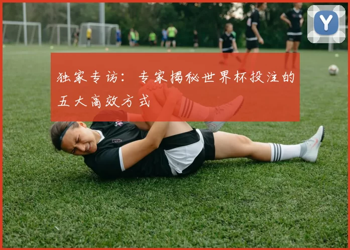 独家专访:专家揭秘世界杯投注的五大高效方式