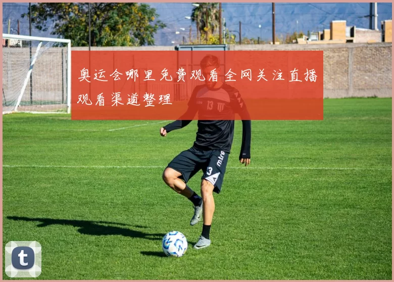 奥运会哪里免费观看全网关注直播观看渠道整理
