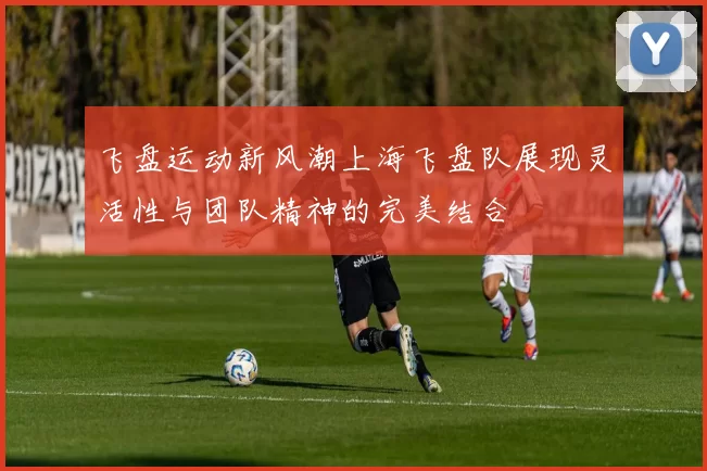 飞盘运动新风潮上海飞盘队展现灵活性与团队精神的完美结合