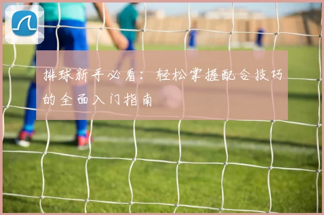 排球新手必看：轻松掌握配合技巧的全面入门指南