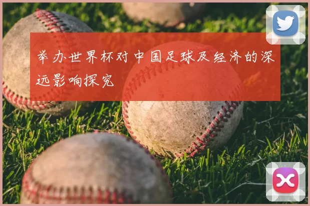 举办世界杯对中国足球及经济的深远影响探究