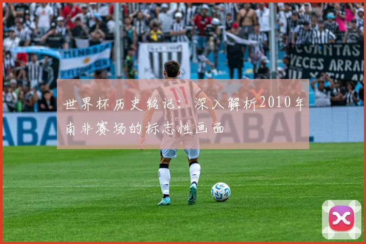 世界杯历史铭记:深入解析2010年南非赛场的标志性画面