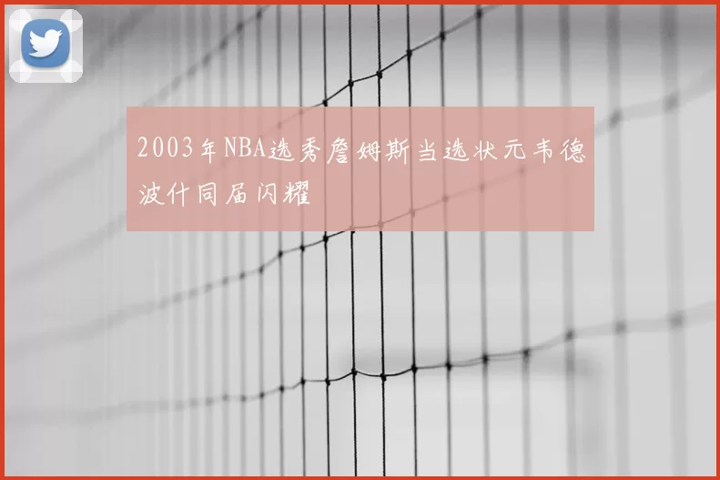 2003年NBA选秀詹姆斯当选状元韦德波什同届闪耀