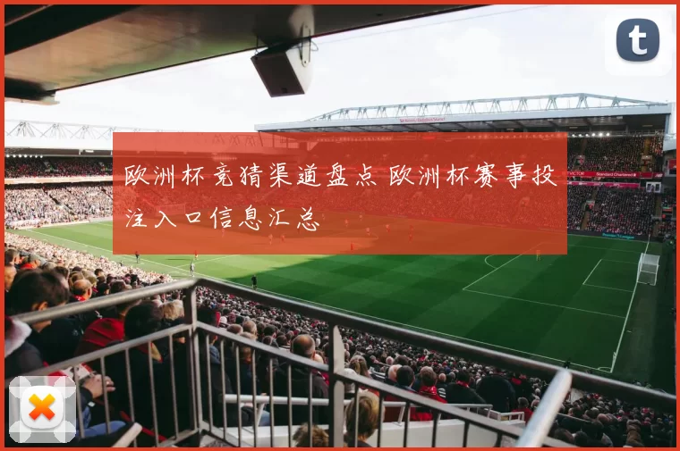欧洲杯竞猜渠道盘点 欧洲杯赛事投注入口信息汇总