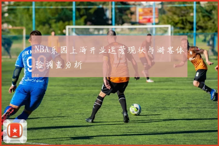 NBA乐园上海开业运营现状与游客体验调查分析