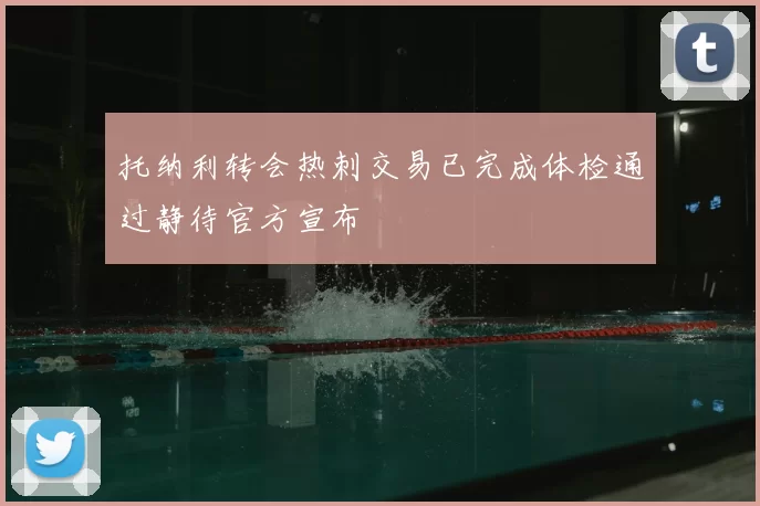 托纳利转会热刺交易已完成体检通过静待官方宣布