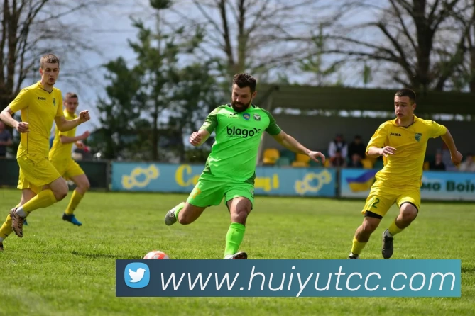 kaiyun平台生态图